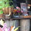 Maria Nutt : Warm Valley Orchard - Image 3