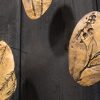 Botanical fossil impressions