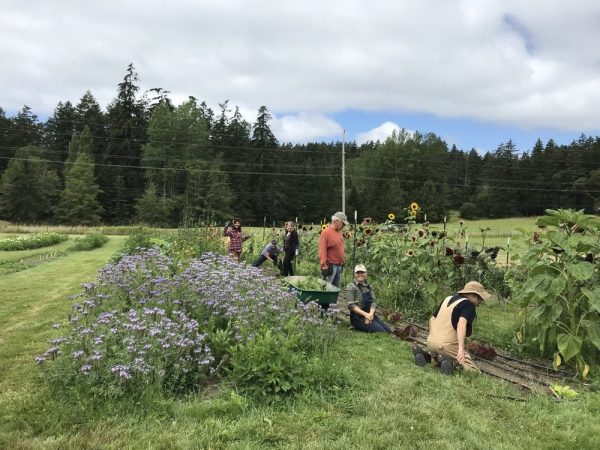 farmers sitting between rows in garden