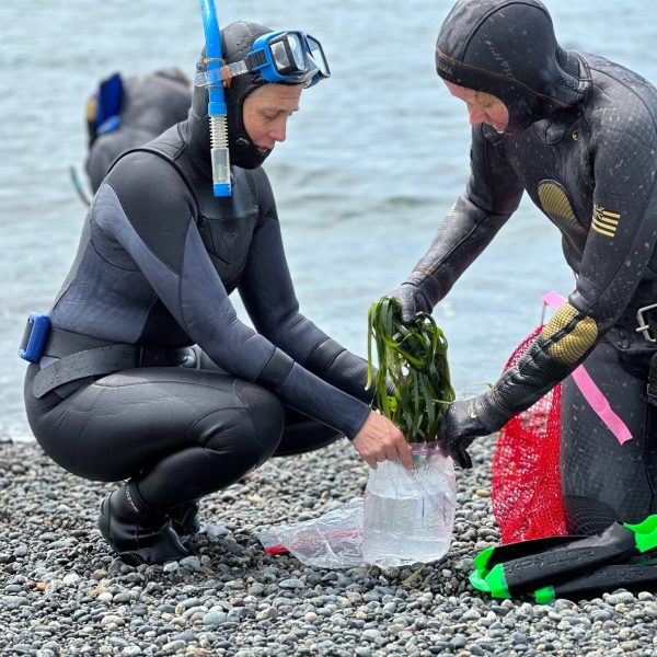 Friends of the San Juans – Made in the San Juans