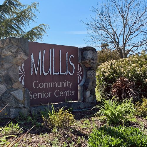 Mullis Center