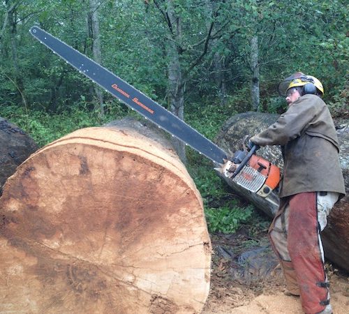 Flower Mountain Services