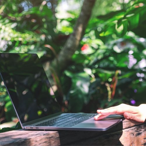 Treehouse Digital Services